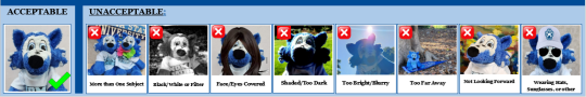 Acceptable versus unacceptable images for SSU ID photo 