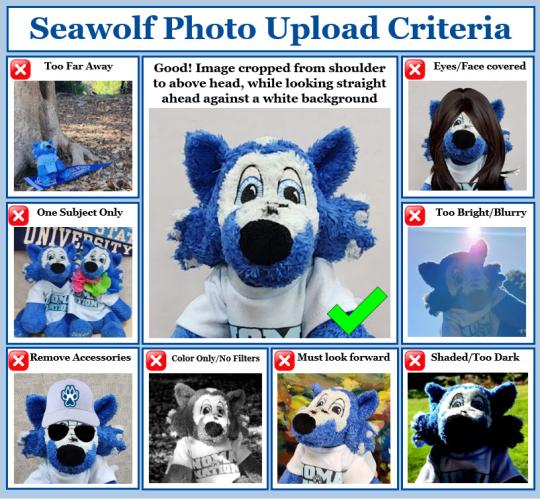 Examples of photo upload do's & don'ts 