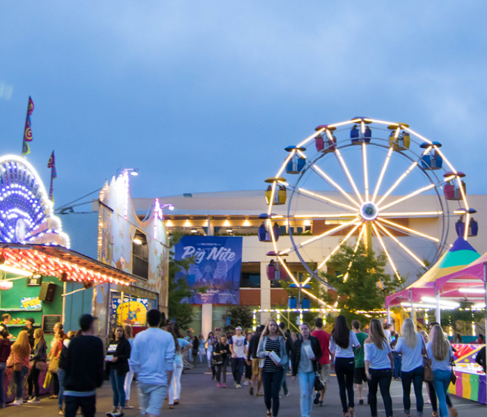 Big Nite Carnival