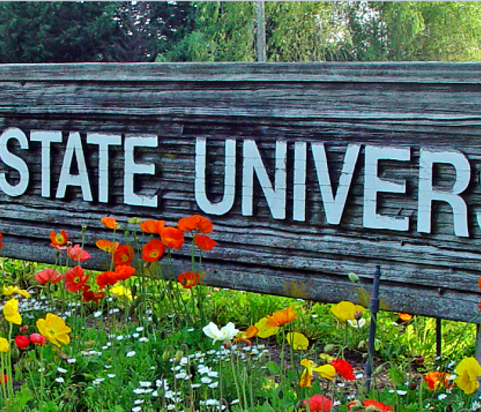 SSU SIGN long
